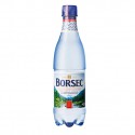 Apa carbogazoasa Borsec 500 ml