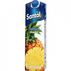 Santal nectar ananas 1 litru