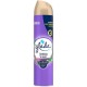 Odorizant spray Glade Tranquil Lavender & Aloe 300 ml