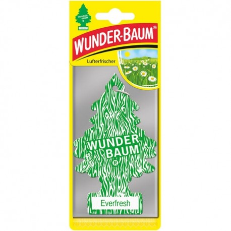 Odorizant auto Wunder-Baum Everfresh