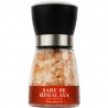 Sare de Himalaya Salt Star 200 grame