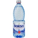 Apa plata Borsec 1 litru