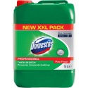 Dezinfectant Domestos Professional Pine Fresh 5 litri